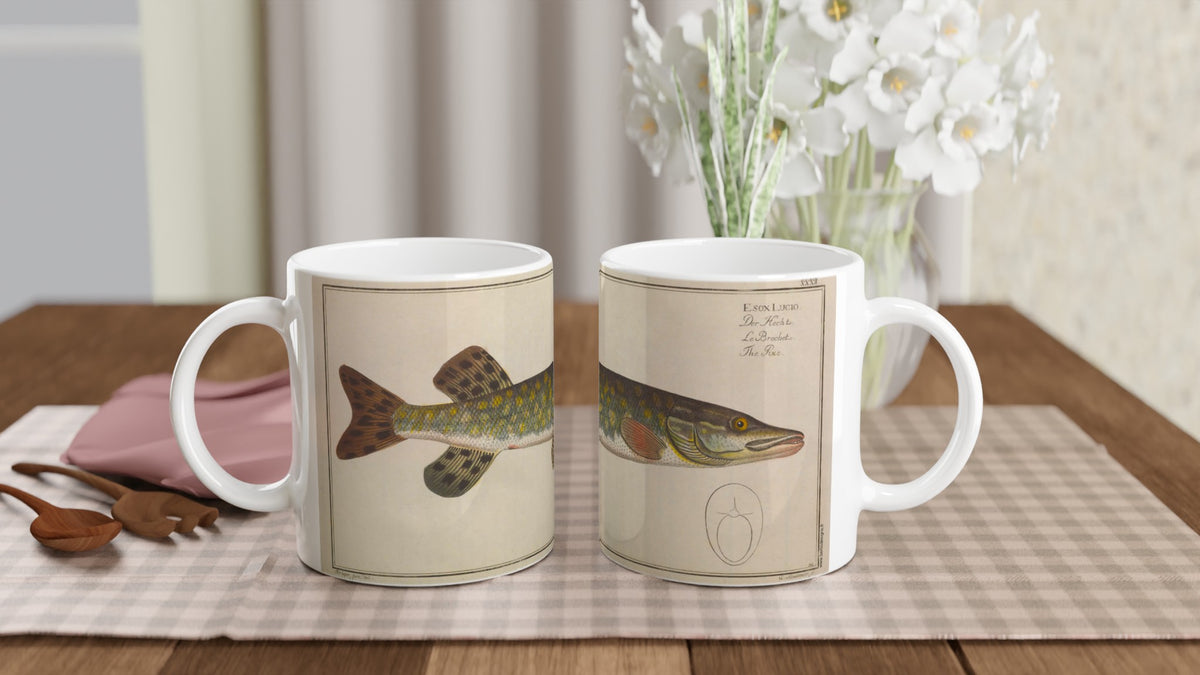 Mug brochet Esox Lucius planche ancienne Marcus Elieser Bloch. Mug en céramique blanche orné d'une illustration naturaliste représentant un brochet, d'après une planche de Marcus Elieser Bloch, avec le texte scientifique Esox Lucio imprimé sur le côté.