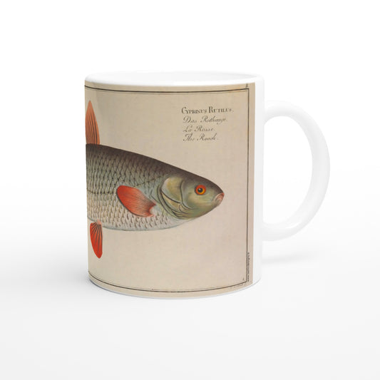 Mug illustré du gardon Cyprinus rutilus d'après Marcus Elieser Bloch. Mug en céramique blanche illustré d'une planche naturaliste ancienne représentant un gardon (Cyprinus rutilus) avec ses nageoires orangées et ses écailles grises.
