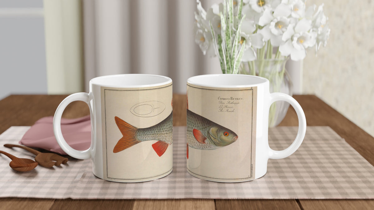 Mug illustré du gardon Cyprinus rutilus d'après Marcus Elieser Bloch. Mug en céramique blanche illustré d'une planche naturaliste ancienne représentant un gardon (Cyprinus rutilus) avec ses nageoires orangées et ses écailles grises.