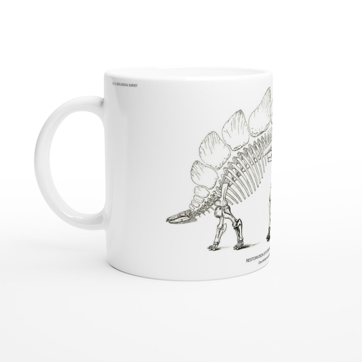 Mug en céramique illustré d'une gravure scientifique de squelette de Stégosaure. Mug en céramique blanche illustré d'une gravure scientifique représentant le squelette d'un Stégosaure avec la mention textuelle U.S. Geological Survey.