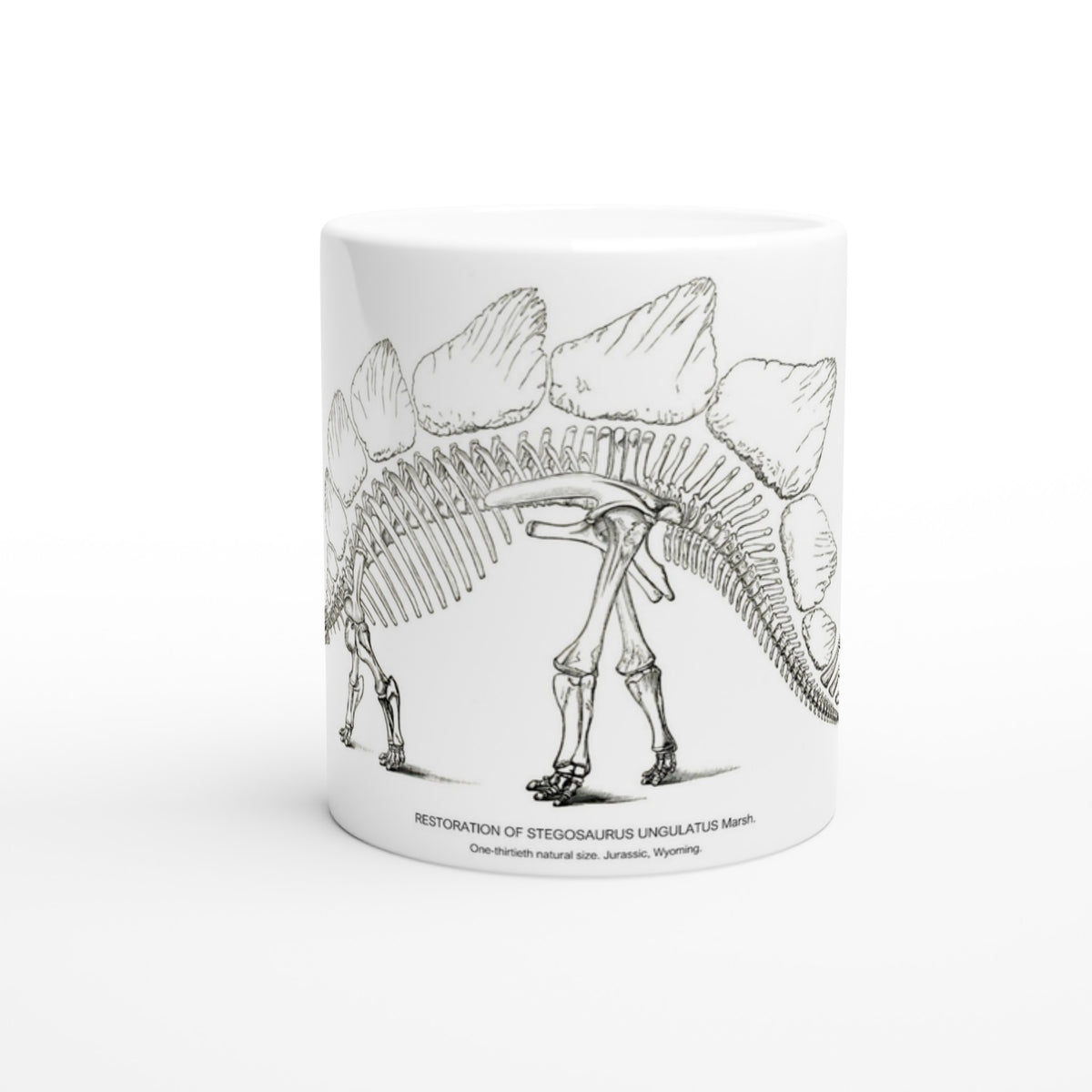 Mug en céramique illustré d'une gravure scientifique de squelette de Stégosaure. Mug en céramique blanche illustré d'une gravure scientifique représentant le squelette d'un Stégosaure avec la mention textuelle U.S. Geological Survey.