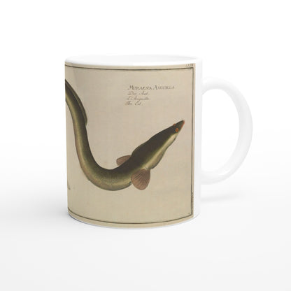 Mug Muraena Anguilla d'après Marcus Elieser Bloch. Mug en céramique blanche illustré d'une reproduction d'une planche naturaliste ancienne montrant une anguille, avec le texte Muraena Anguilla et son nom en plusieurs langues.