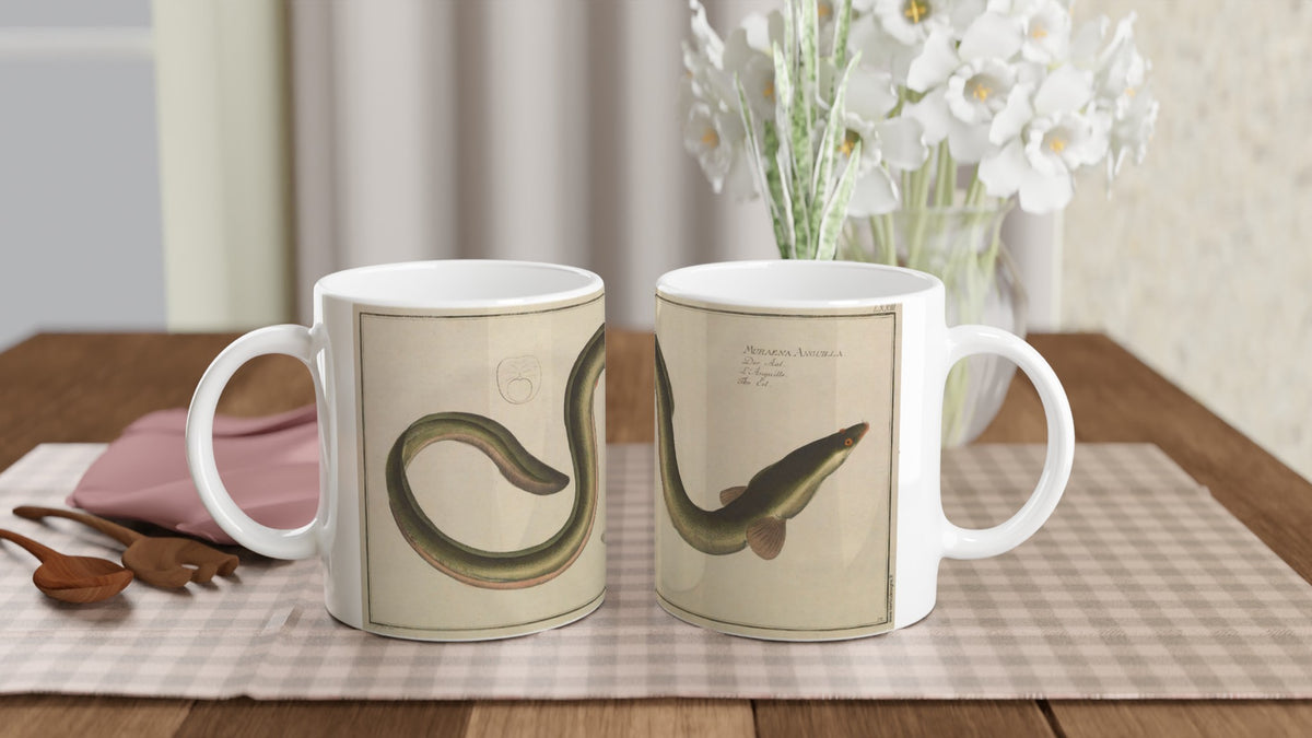 Mug Muraena Anguilla d'après Marcus Elieser Bloch. Mug en céramique blanche illustré d'une reproduction d'une planche naturaliste ancienne montrant une anguille, avec le texte Muraena Anguilla et son nom en plusieurs langues.