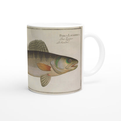 Mug Perca Lucioperca Luccioperca di Marcus Elieser Bloch. Tazza in ceramica bianca illustrata con la riproduzione di un'antica tavola naturalistica raffigurante un lucioperca, con la didascalia 'Perca Lucioperca', su sfondo chiaro.