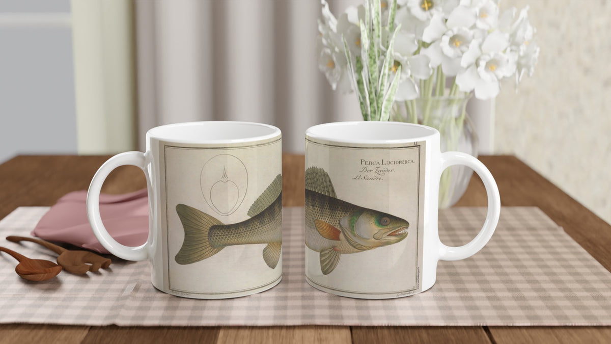 Mug Perca Lucioperca Luccioperca di Marcus Elieser Bloch. Tazza in ceramica bianca illustrata con la riproduzione di un'antica tavola naturalistica raffigurante un lucioperca, con la didascalia 'Perca Lucioperca', su sfondo chiaro.