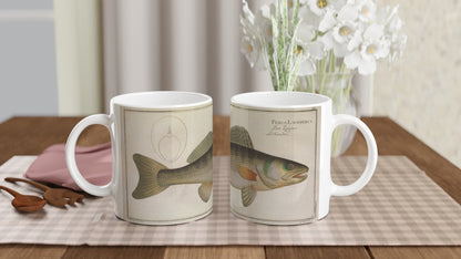 Mug Perca Lucioperca Luccioperca di Marcus Elieser Bloch. Tazza in ceramica bianca illustrata con la riproduzione di un'antica tavola naturalistica raffigurante un lucioperca, con la didascalia 'Perca Lucioperca', su sfondo chiaro.