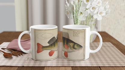 Perca fluviatilis perch mug after Marcus Elieser Bloch. White ceramic mug illustrated with an antique naturalistic plate depicting a perch, Perca Fluviatilis, with the corresponding Latin, German, French and English text.