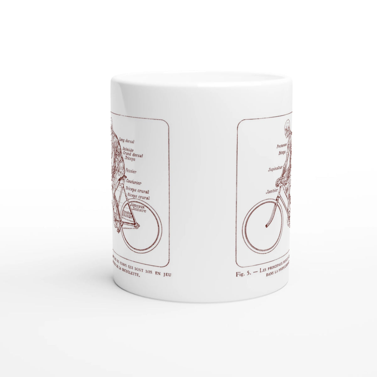 Mug illustré d'une planche anatomique d'écorché à bicyclette. Mug blanc orné d'une illustration scientifique ancienne en sépia représentant un corps humain écorché à bicyclette, avec le détail anatomique des muscles sollicités.