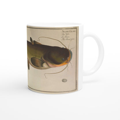 Mug illustré avec planche naturaliste ancienne de Silure. Mug illustré d'une planche naturaliste ancienne représentant un silure, Silurus glanis, avec son nom inscrit en latin, allemand, français et anglais.
