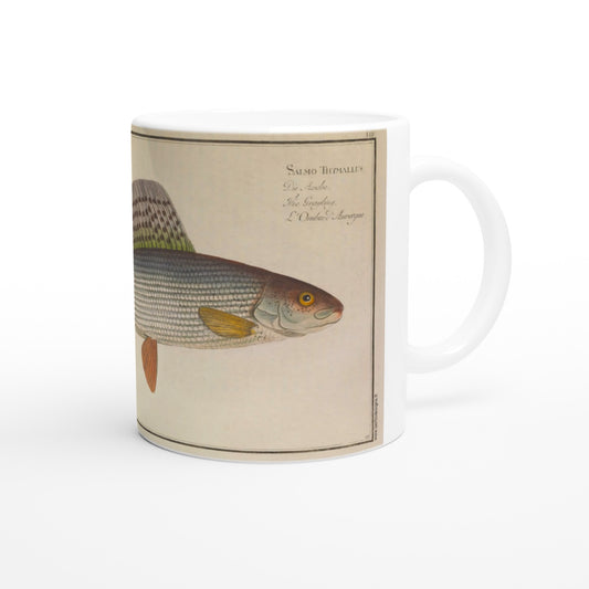 Mug en céramique avec illustration du poisson Salmo Thymallus par Marcus Elieser Bloch. Mug en céramique blanche illustré d'une planche naturaliste ancienne représentant un poisson de l'espèce Salmo Thymallus, avec son nom inscrit en latin et en plusieurs langues.