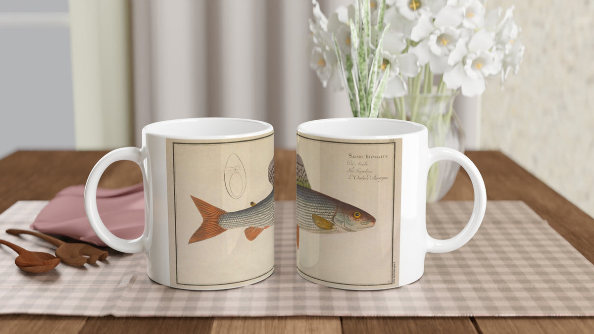 Mug en céramique avec illustration du poisson Salmo Thymallus par Marcus Elieser Bloch. Mug en céramique blanche illustré d'une planche naturaliste ancienne représentant un poisson de l'espèce Salmo Thymallus, avec son nom inscrit en latin et en plusieurs langues.
