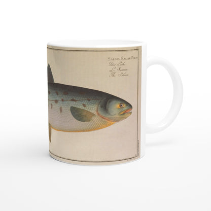 Mug en céramique illustré du Saumon Salmo Salar d'après Marcus Elieser Bloch. Mug en céramique blanche illustré d'une planche naturaliste ancienne représentant un saumon, Salmo Salar, avec des annotations scientifiques en latin, allemand, français et anglais.