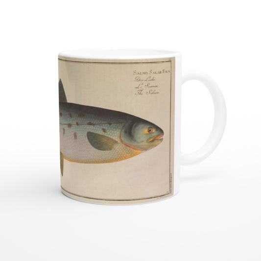 Mug en céramique illustré du Saumon Salmo Salar d'après Marcus Elieser Bloch. Mug en céramique blanche illustré d'une planche naturaliste ancienne représentant un saumon, Salmo Salar, avec des annotations scientifiques en latin, allemand, français et anglais.