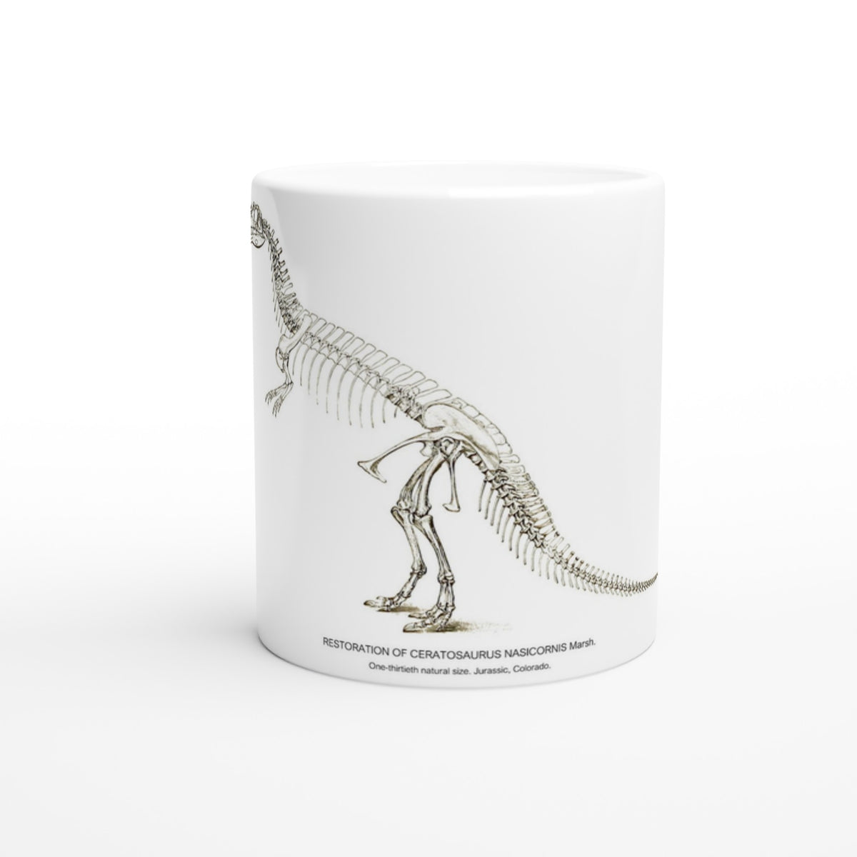 Mug en céramique squelette de Cératosaure gravure U.S. Geological Survey. Mug en céramique blanche illustré d'une gravure scientifique représentant le squelette complet d'un dinosaure cératosaure, accompagnée de la mention U.S. Geological Survey.
