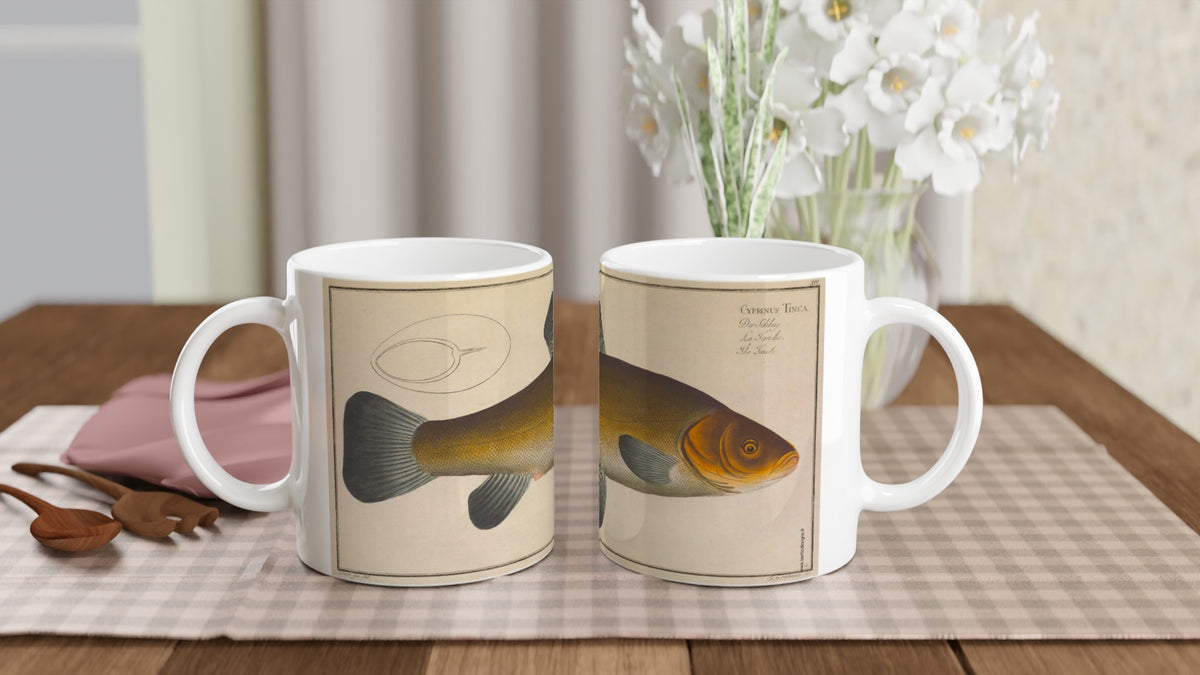 Mug illustrated with a tench after Marcus Elieser Bloch. White mug illustrated with a naturalistic plate depicting a tench, Cyprinus Tinca, from Marcus Elieser Bloch's work Ichthyology.
