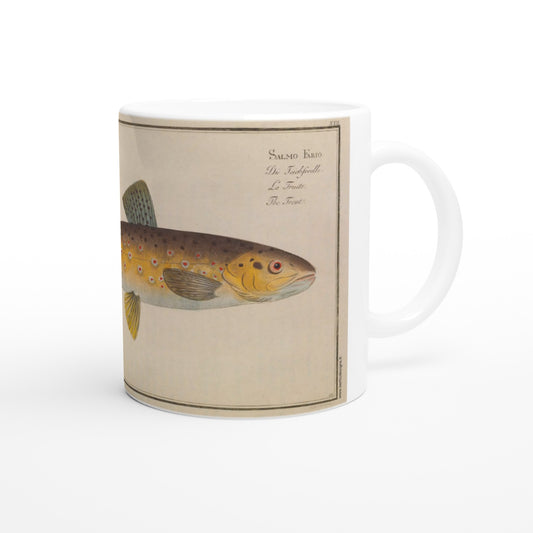 Mug en céramique Truite Salmo Fario d'après Marcus Elieser Bloch. Mug en céramique blanche illustré d'une planche naturaliste représentant une truite (Salmo Fario) avec des inscriptions textuelles, inspirée de l'ouvrage Ichtyologie de Marcus Elieser Bloch.