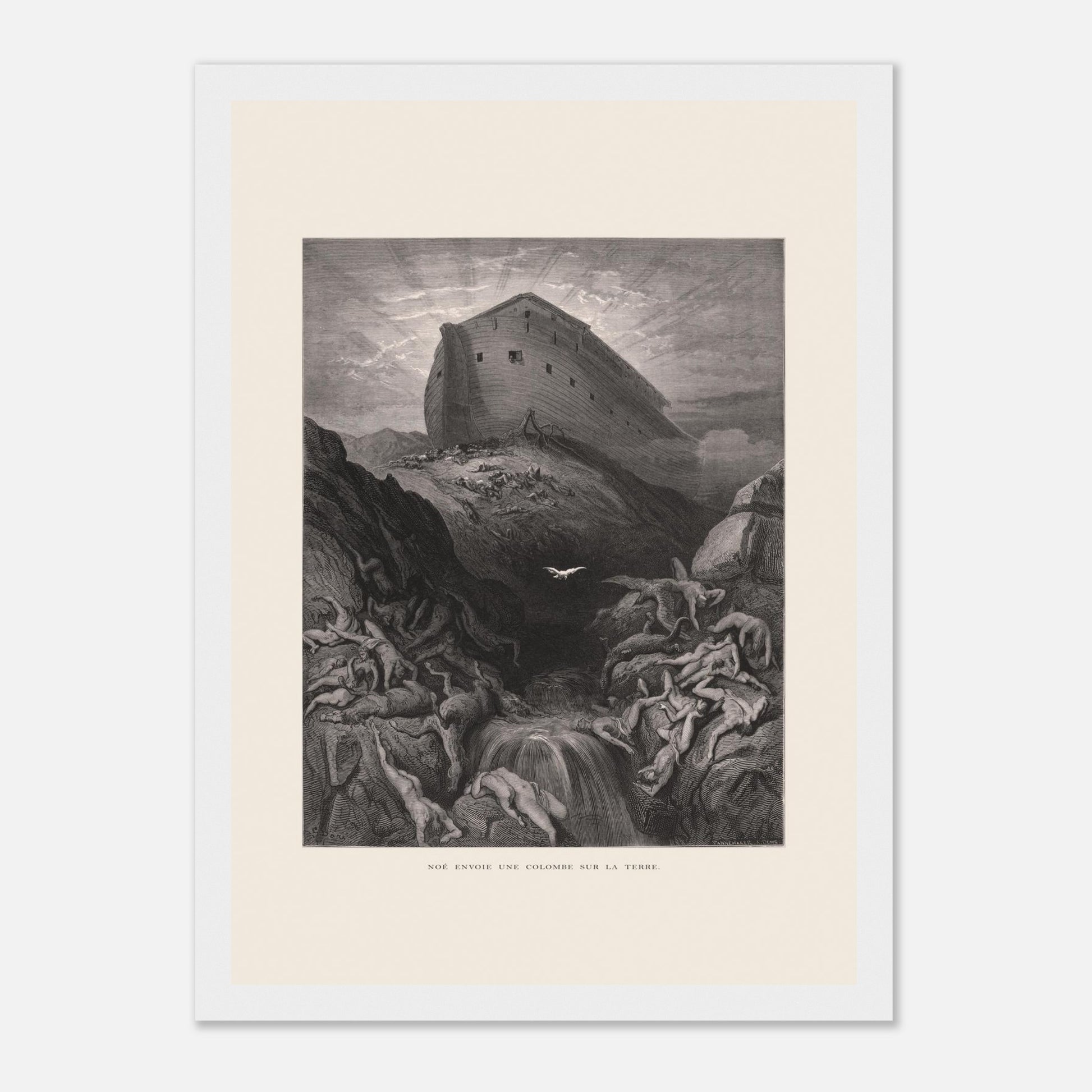 Noé envoyant la colombe, gravure ancienne de Gustave Doré (21x29,7 cm (A4) / Cadre blanc). Gravure de Gustave Doré montrant l'Arche de Noé perchée sur un monticule, tandis qu'une colombe s'envole au-dessus d'un paysage désolé et inondé par le déluge.