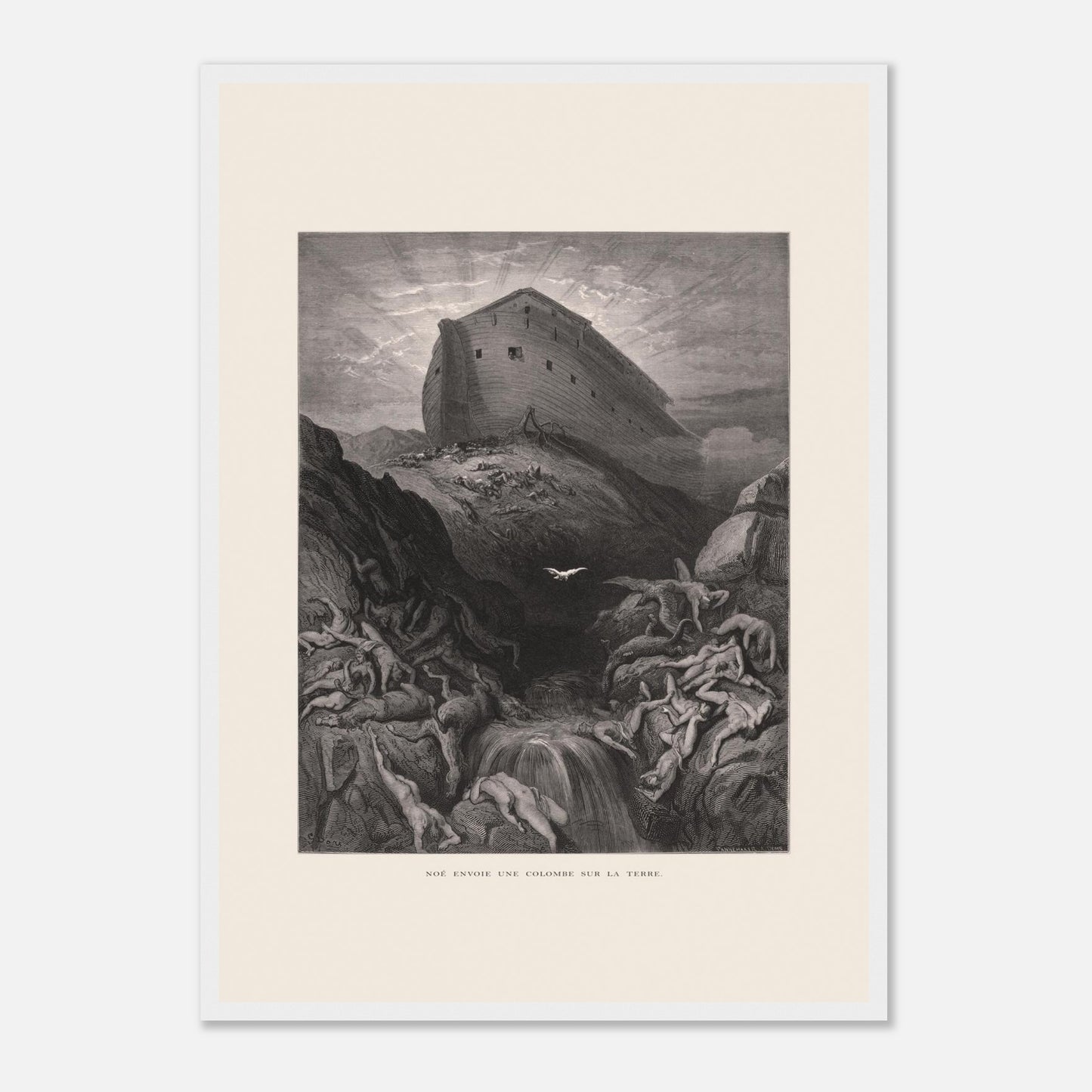 Noé envoyant la colombe, gravure ancienne de Gustave Doré (42x59,4 cm (A2) / Cadre blanc). Gravure de Gustave Doré montrant l'Arche de Noé perchée sur un monticule, tandis qu'une colombe s'envole au-dessus d'un paysage désolé et inondé par le déluge.