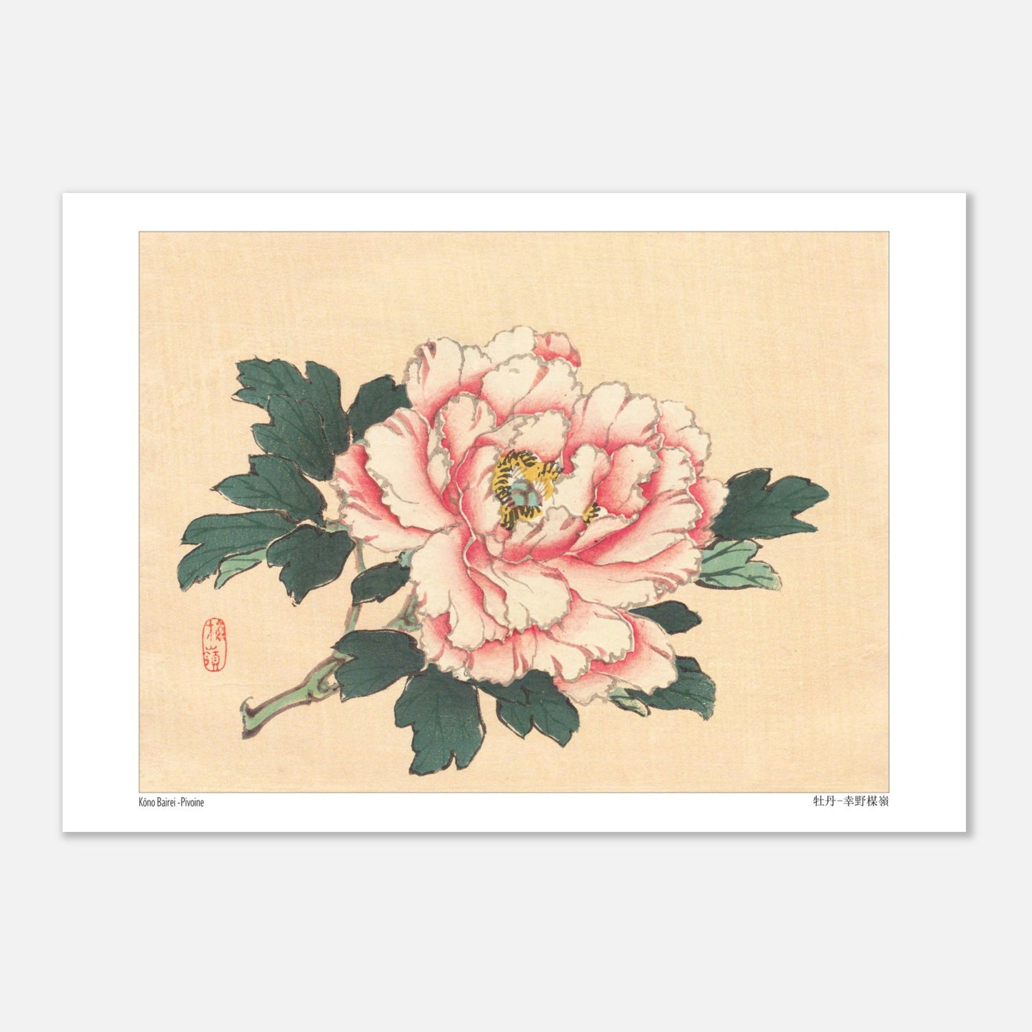 Pivoine - Kōno Bairei - Taille 29,7x42 cm (A3)