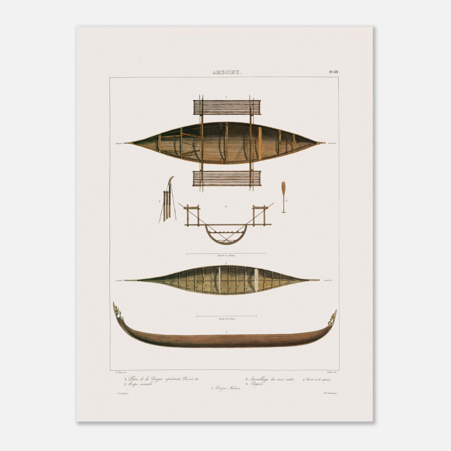 Planche technique : Bateaux de pêche d'Amboine, Moluques (30x40 cm). Gravure ancienne de pirogues d'Amboine aux Moluques, présentant des plans, coupes et une pirogue malaise, avec des détails de construction.