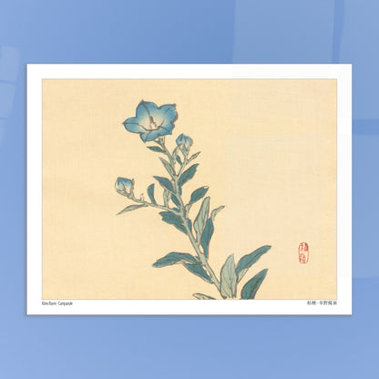 Planche botanique de Campanule, estampe japonaise par Kōno Bairei. Estampe ancienne représentant une campanule aux fleurs bleues et à la tige verte, avec des bourgeons et des feuilles, sur un fond crème. Image d'illustration 5