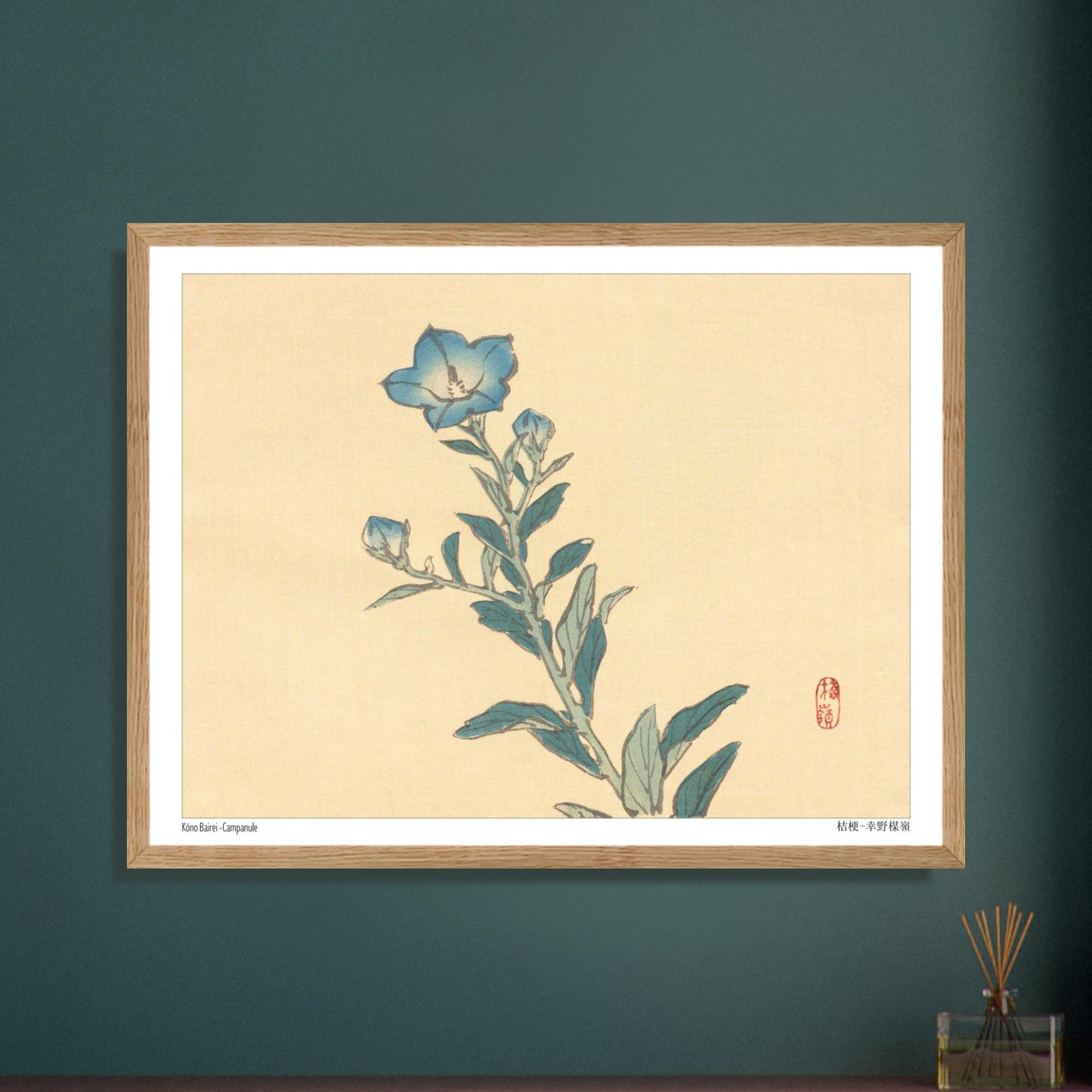 Planche botanique de Campanule, estampe japonaise par Kōno Bairei. Estampe ancienne représentant une campanule aux fleurs bleues et à la tige verte, avec des bourgeons et des feuilles, sur un fond crème. Image d'illustration 6