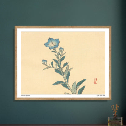 Planche botanique de Campanule, estampe japonaise par Kōno Bairei. Estampe ancienne représentant une campanule aux fleurs bleues et à la tige verte, avec des bourgeons et des feuilles, sur un fond crème. Image d'illustration 6