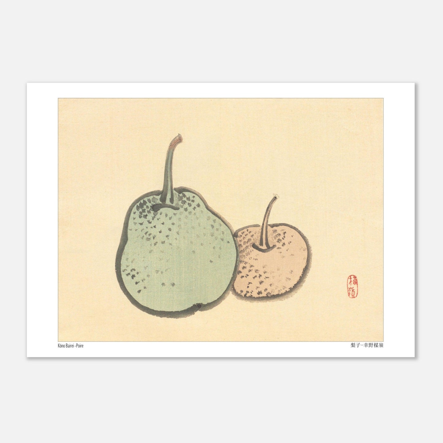 Planche botanique de poires, illustration japonaise de Kōno Bairei (21x29,7 cm (A4)). Illustration naturaliste de Kōno Bairei représentant deux poires, l'une plus grande et verte, l'autre plus petite et rosée, sur fond beige.
