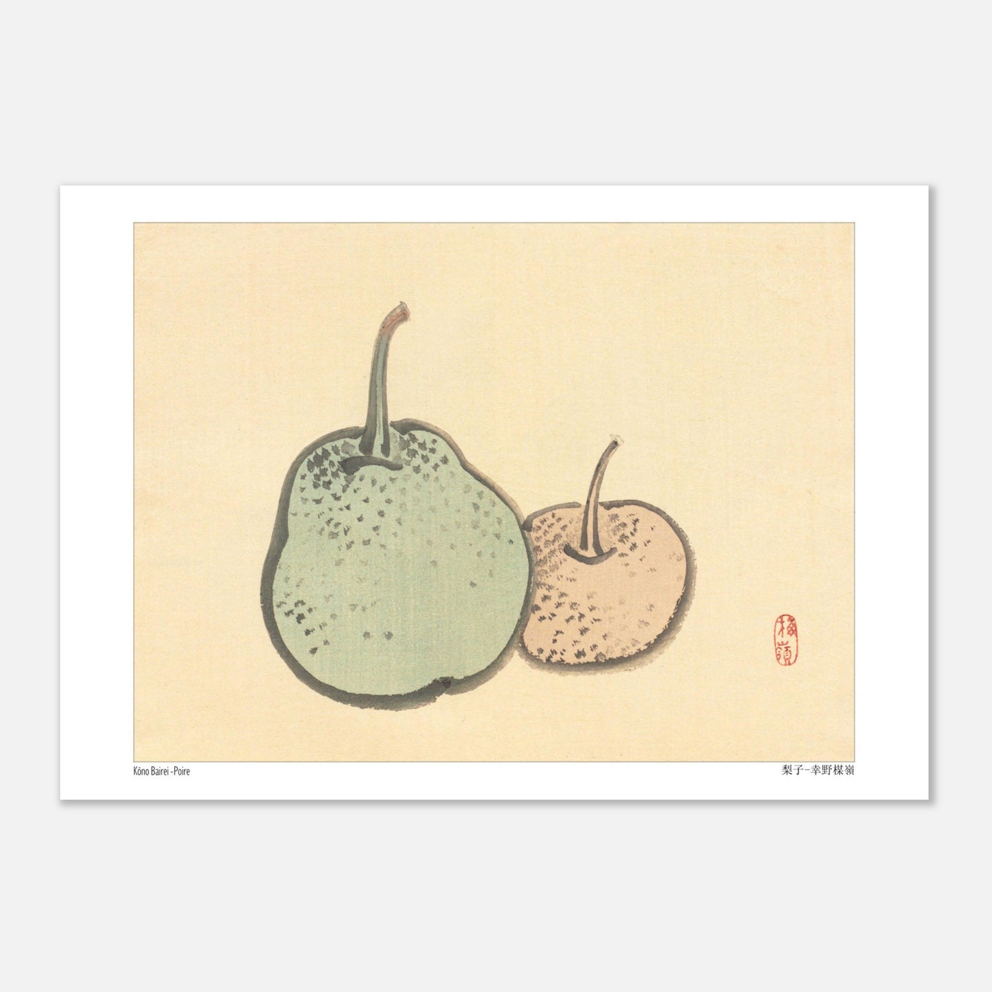Planche botanique de poires, illustration japonaise de Kōno Bairei (29,7x42 cm (A3)). Illustration naturaliste de Kōno Bairei représentant deux poires, l'une plus grande et verte, l'autre plus petite et rosée, sur fond beige.