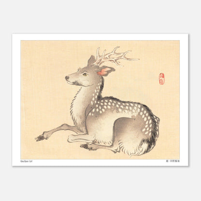 Planche naturaliste : Cerf tacheté par Kōno Bairei (15x20 cm). Une peinture naturaliste d'un cerf tacheté, dans le style de Kōno Bairei.