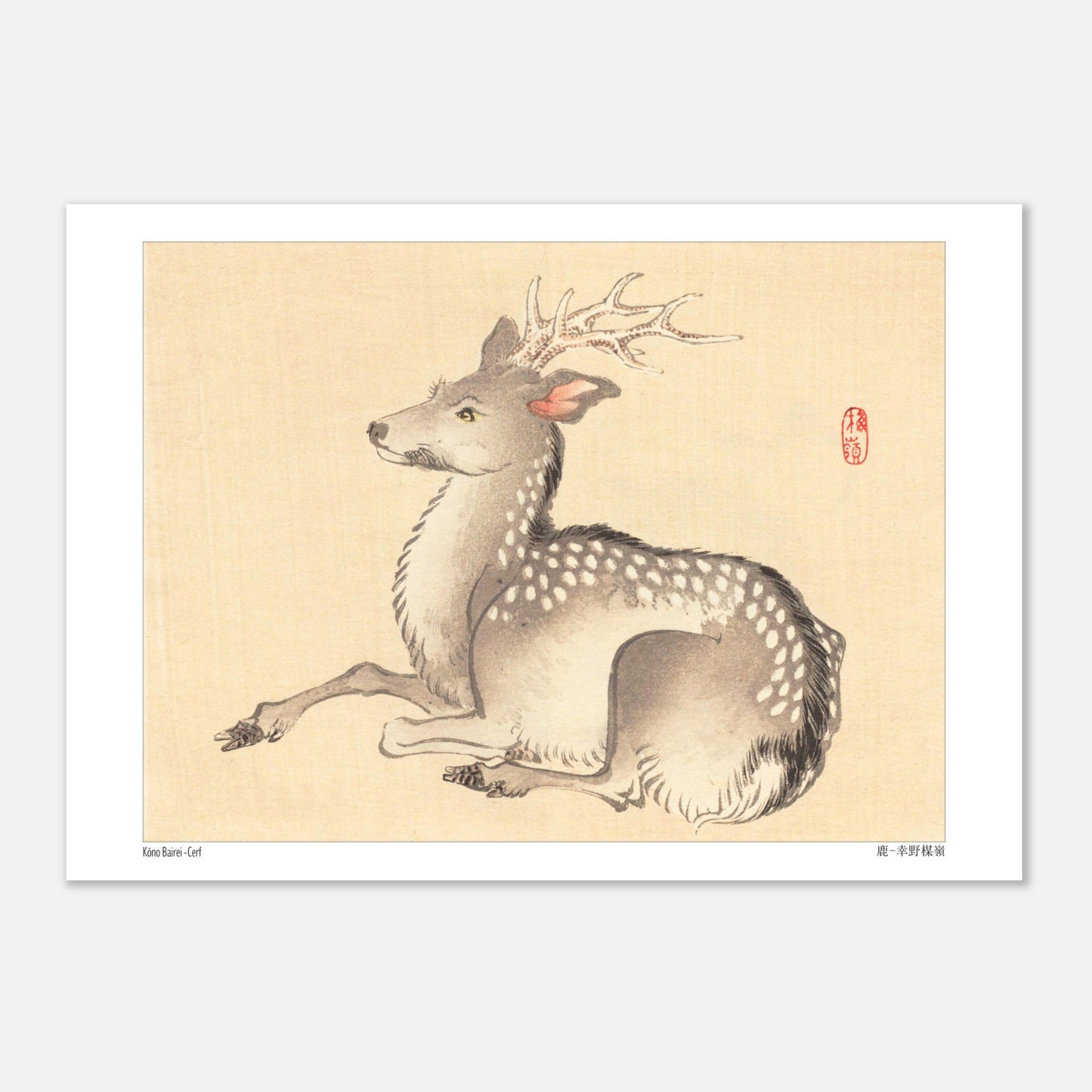 Planche naturaliste : Cerf tacheté par Kōno Bairei (21x29,7 cm (A4)). Une peinture naturaliste d'un cerf tacheté, dans le style de Kōno Bairei.