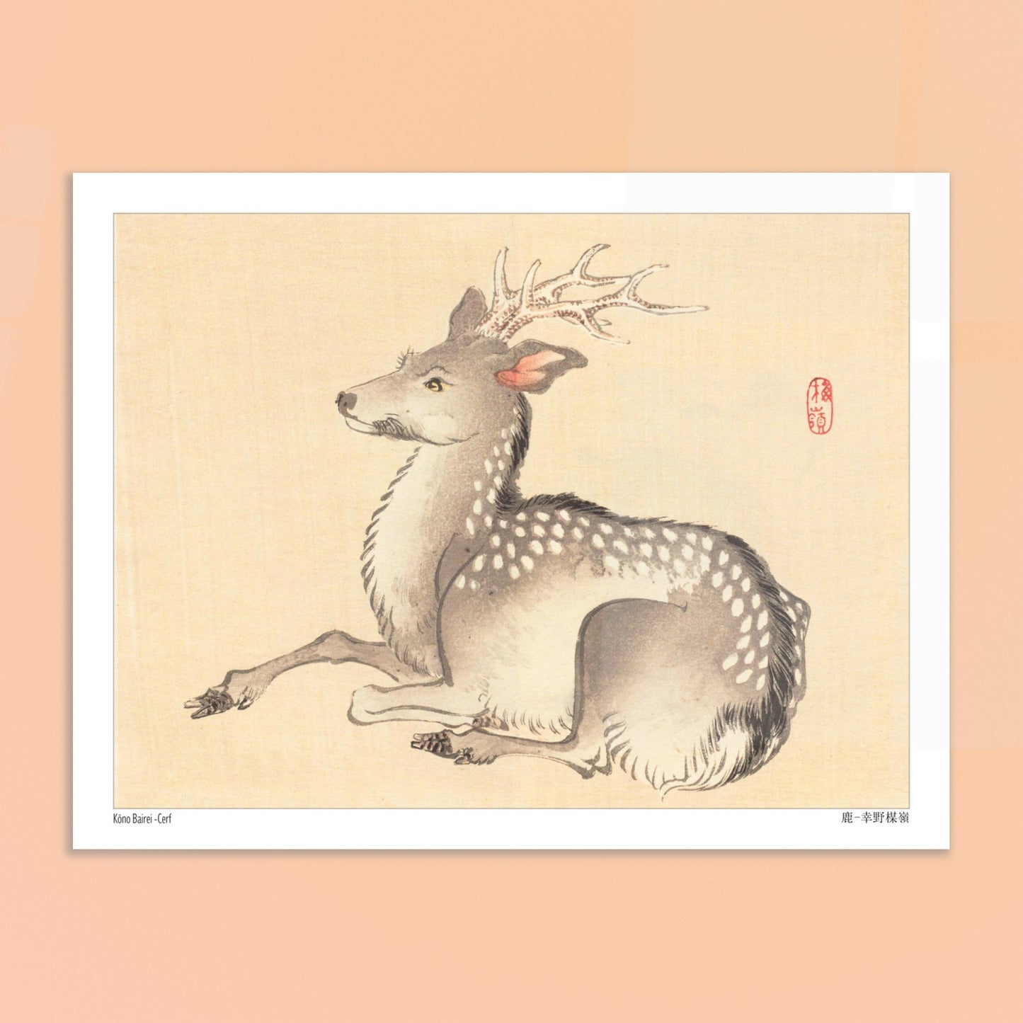 Planche naturaliste : Cerf tacheté par Kōno Bairei. Une peinture naturaliste d'un cerf tacheté, dans le style de Kōno Bairei. Image d'illustration 6