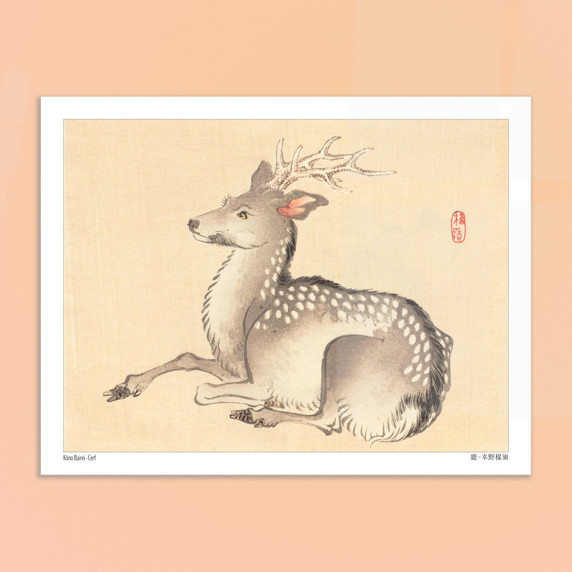 Planche naturaliste : Cerf tacheté par Kōno Bairei. Une peinture naturaliste d'un cerf tacheté, dans le style de Kōno Bairei. Image d'illustration 6