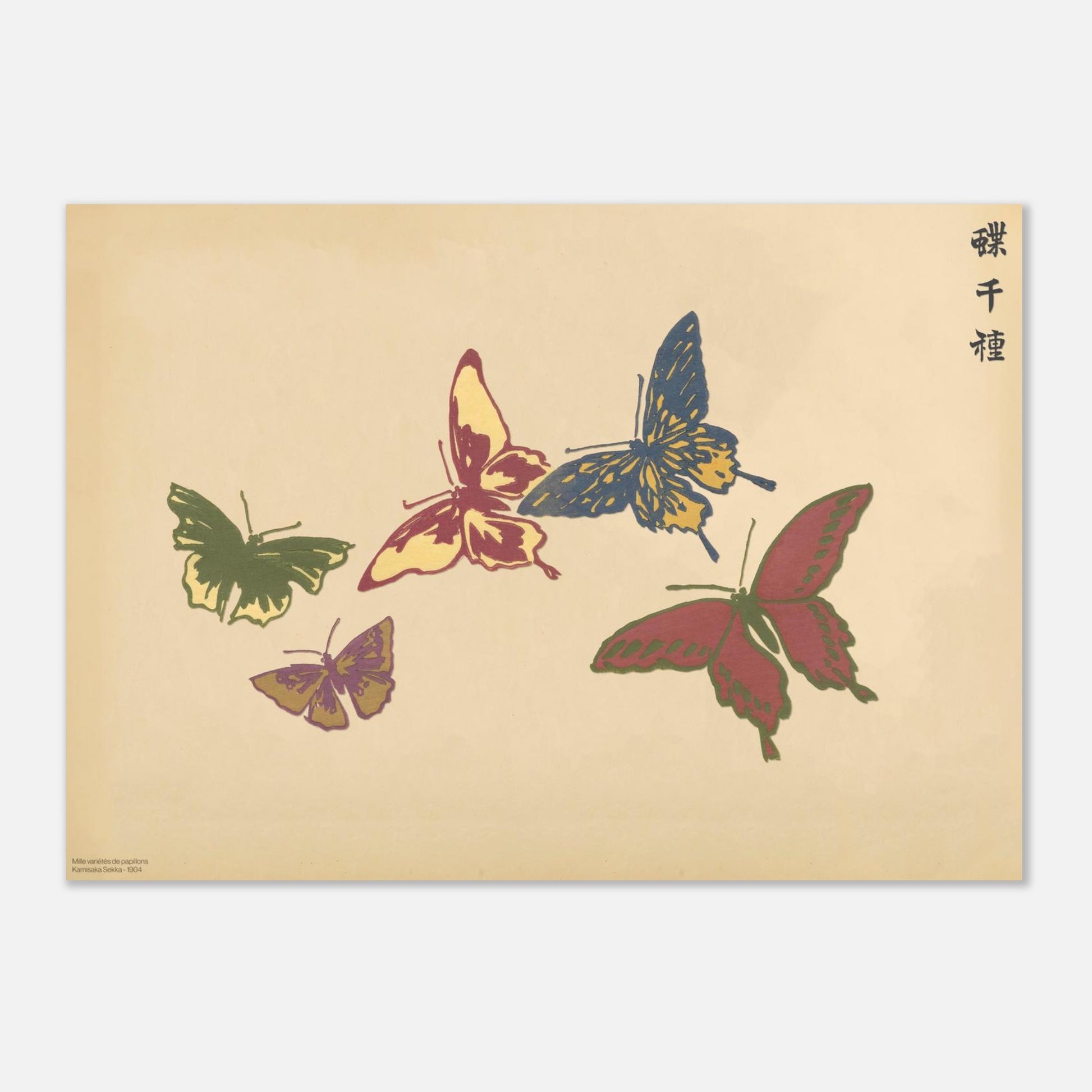 Planche de cinq papillons multicolores — Chō senshu de Kamisaka Sekka (29,7x42 cm (A3)). Planche naturaliste de cinq papillons aux couleurs vives, jaune, rouge, bleu et vert, sur un fond beige.