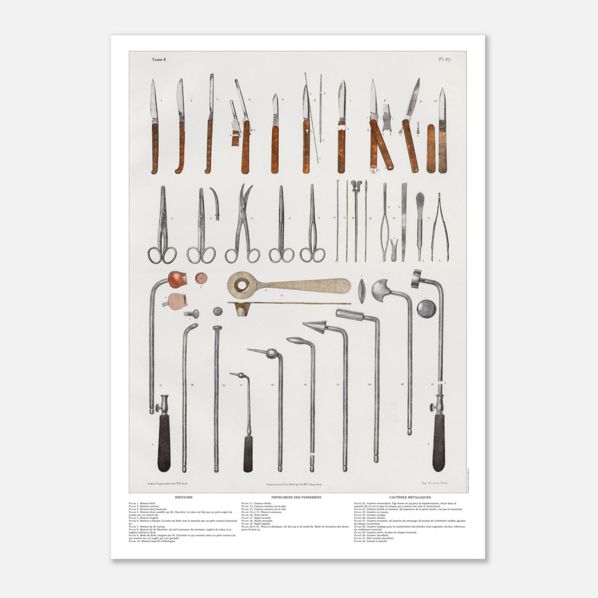 Planche d'anatomie chirurgicale - Bistouris, ciseaux et cautères métalliques - Taille 50x70 cm