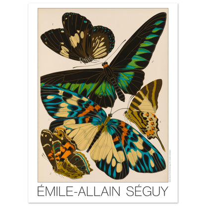 Planche entomologique de papillons par Émile-Allain Séguy (30x40 cm). Illustration d'Émile-Allain Séguy représentant plusieurs papillons aux ailes colorées, aux tons noir, vert, bleu et jaune.