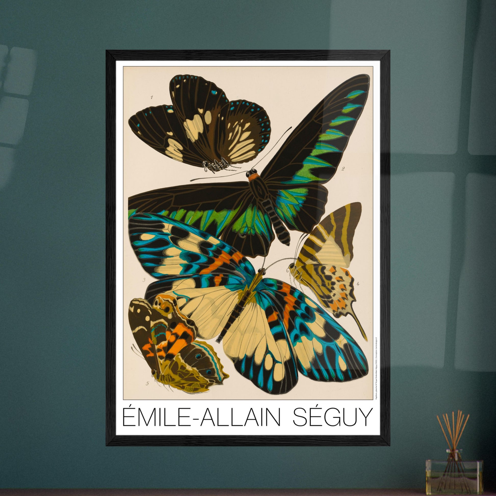 Planche entomologique de papillons par Émile-Allain Séguy. Illustration d'Émile-Allain Séguy représentant plusieurs papillons aux ailes colorées, aux tons noir, vert, bleu et jaune. Image d'illustration 7