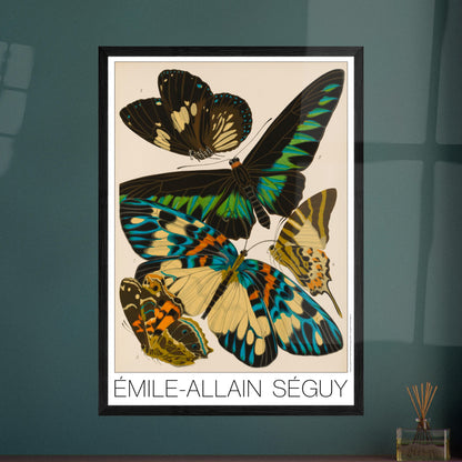 Planche entomologique de papillons par Émile-Allain Séguy. Illustration d'Émile-Allain Séguy représentant plusieurs papillons aux ailes colorées, aux tons noir, vert, bleu et jaune. Image d'illustration 7