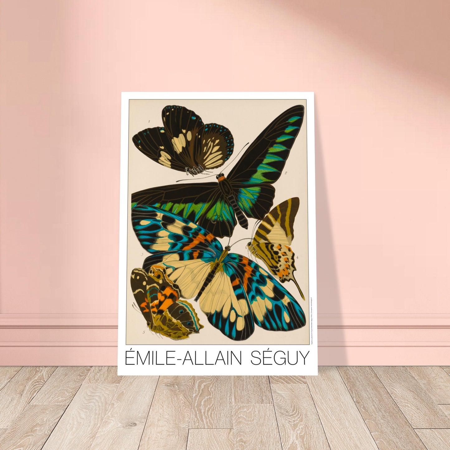 Planche entomologique de papillons par Émile-Allain Séguy. Illustration d'Émile-Allain Séguy représentant plusieurs papillons aux ailes colorées, aux tons noir, vert, bleu et jaune. Image d'illustration 8