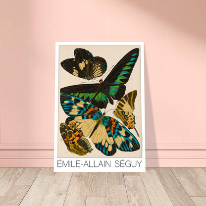 Planche entomologique de papillons par Émile-Allain Séguy. Illustration d'Émile-Allain Séguy représentant plusieurs papillons aux ailes colorées, aux tons noir, vert, bleu et jaune. Image d'illustration 8