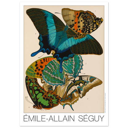 Planche d'étude : papillons Charaxes et Papilio par E.A. Séguy (50x70 cm). Illustration par Émile-Allain Séguy de cinq papillons aux ailes colorées aux motifs complexes, bleus, verts, oranges et jaunes sur fond beige.