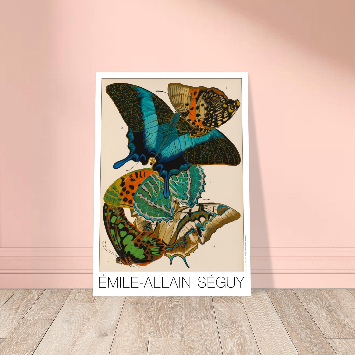 Planche d'étude : papillons Charaxes et Papilio par E.A. Séguy. Illustration par Émile-Allain Séguy de cinq papillons aux ailes colorées aux motifs complexes, bleus, verts, oranges et jaunes sur fond beige. Image d'illustration 8
