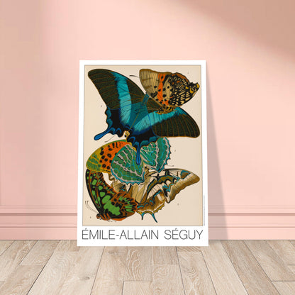 Planche d'étude : papillons Charaxes et Papilio par E.A. Séguy. Illustration par Émile-Allain Séguy de cinq papillons aux ailes colorées aux motifs complexes, bleus, verts, oranges et jaunes sur fond beige. Image d'illustration 8