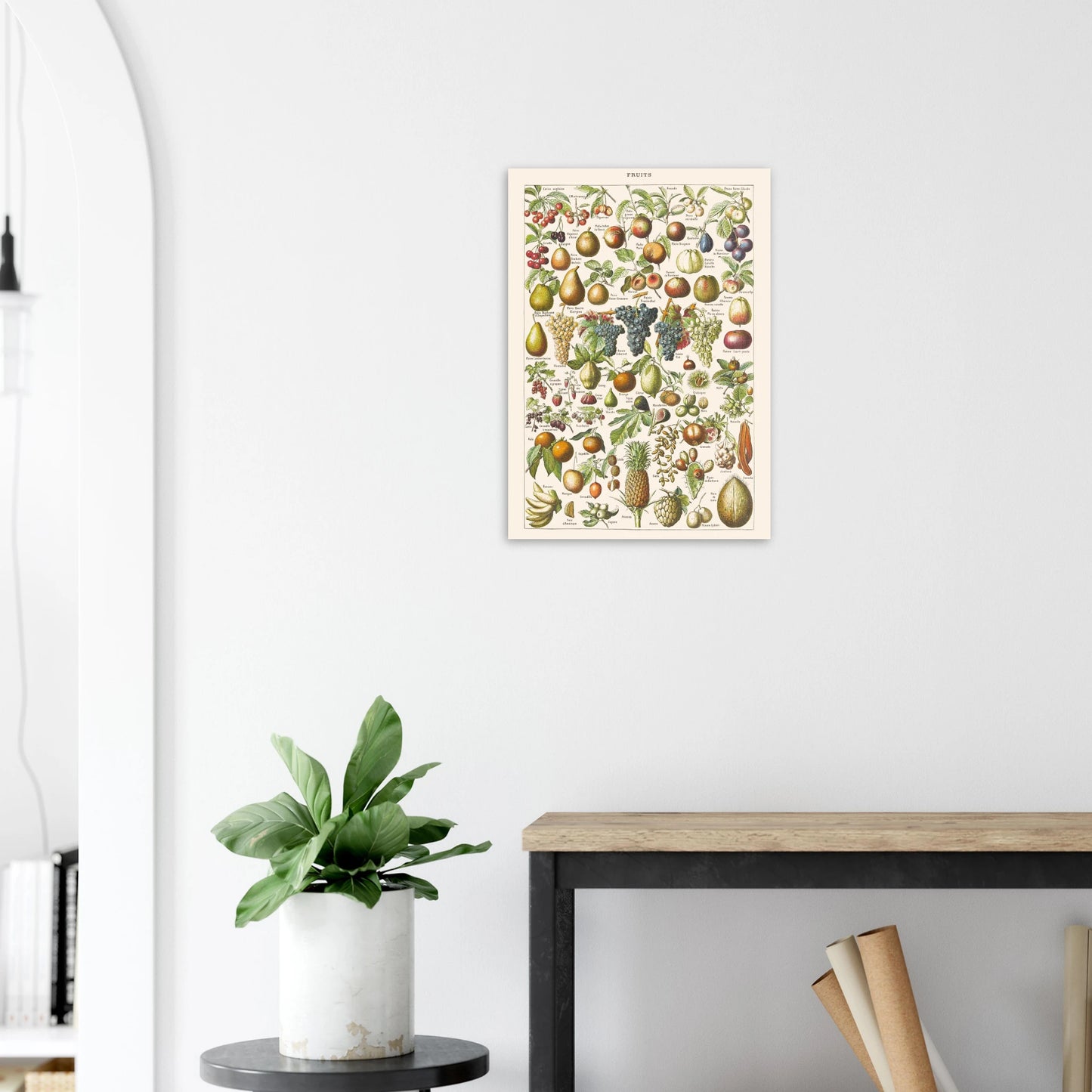 Planche ancienne Fruits - Illustration Larousse 1910. Planche encyclopédique Larousse de 1910 sur les fruits, illustrant de nombreuses variétés de fruits, leur présentation et leurs noms. Image d'illustration 5