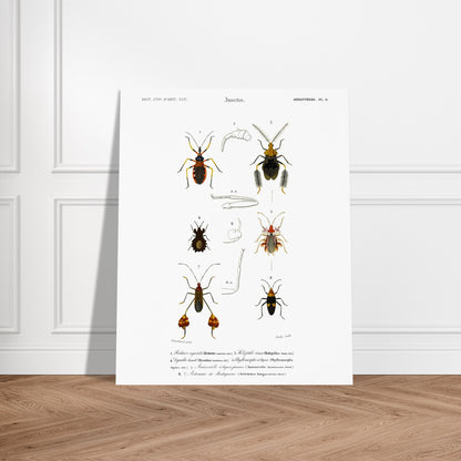 Planche d'insectes : Réduve agréable et Hémiptères, d'Orbigny. Planche d'insectes du Dictionnaire Universel d'Histoire Naturelle de Charles d'Orbigny illustrant plusieurs espèces d'hémiptères, dont le Réduve agréable, avec des numérotations et des descriptions scientifiques. Image d'illustration 6