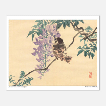 Planche naturaliste : Moineaux et fleurs de glycine par Kōno Bairei (20x25 cm). Illustration naturaliste d'un moineau perché sur une branche de glycine en fleurs, par Kōno Bairei.