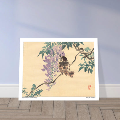 Planche naturaliste : Moineaux et fleurs de glycine par Kōno Bairei. Illustration naturaliste d'un moineau perché sur une branche de glycine en fleurs, par Kōno Bairei. Image d'illustration 6