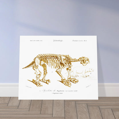 Planche paléontologique : Squelette de Mégathérium par d'Orbigny. Planche paléontologique illustrant le squelette d'un Megatherium aux proportions imposantes, accompagné d'un dessin plus petit d'un animal ressemblant à un ours. Image d'illustration 5