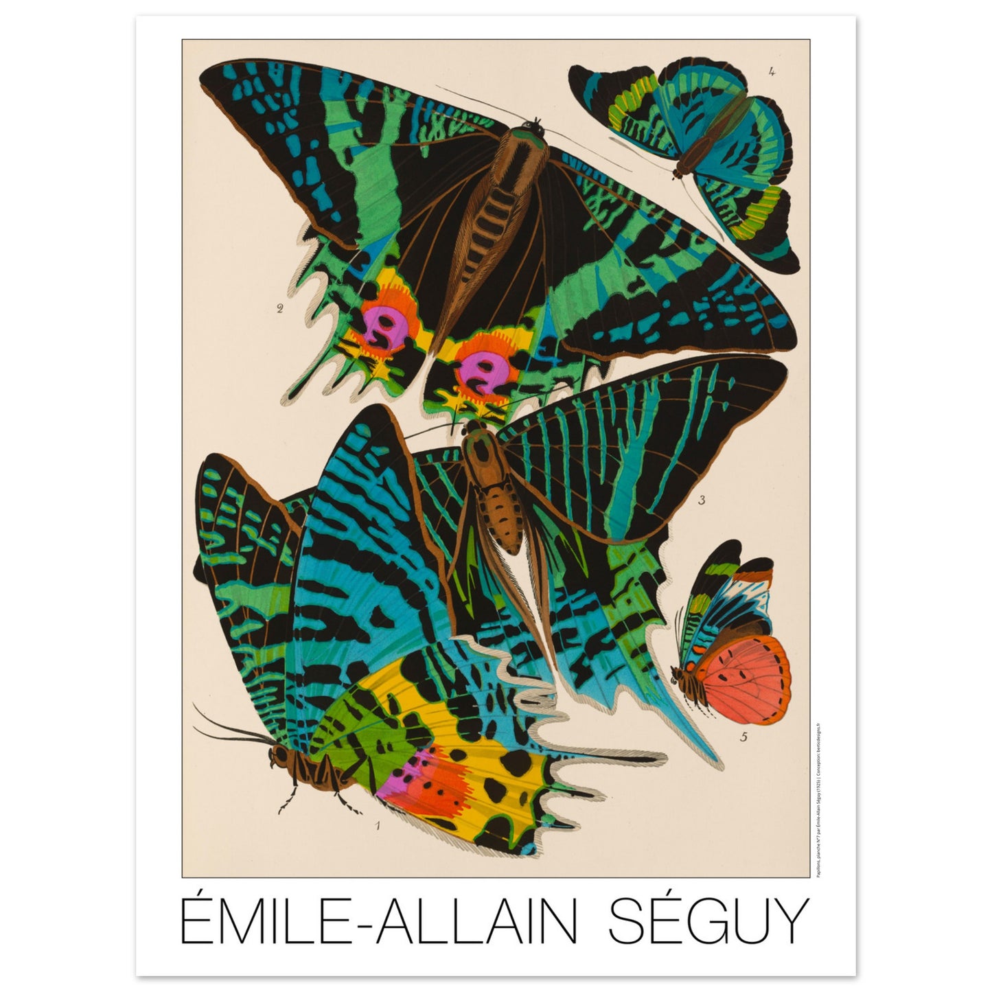 Planche de papillons Art déco par Émile-Allain Séguy (30x40 cm). Cette affiche Art Déco présente une composition de cinq papillons aux ailes aux motifs complexes et aux couleurs vives.