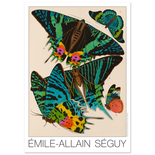 Planche de papillons Art déco par Émile-Allain Séguy (42x59,4 cm (A2)). Cette affiche Art Déco présente une composition de cinq papillons aux ailes aux motifs complexes et aux couleurs vives.